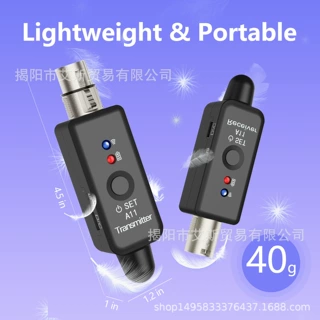 2.4GHz Wireless Mic Adapter  A11 无线卡侬麦克风转6.35 转接器