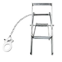 �F�z�}�첶���� ����A�� ���ò��������B������A��