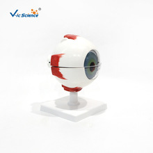 �������ģ�� �屶�Ŵ�ģ�� ��ٿƽṹ����ʽ�ѧ����