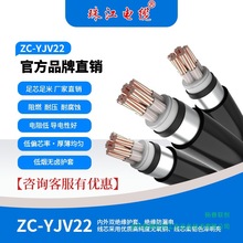 齭|~оZC-YJV222 3 45о16ƽS~늾