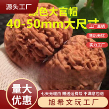 �����Һ˰�������y���ñ�����Ǫ{���^���뻢�^Ұ������Ҿ��֌�