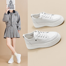 2025�����¿���ƤС��ЬŮ���e�p��������Ů��Ь͸���ЬЬ��