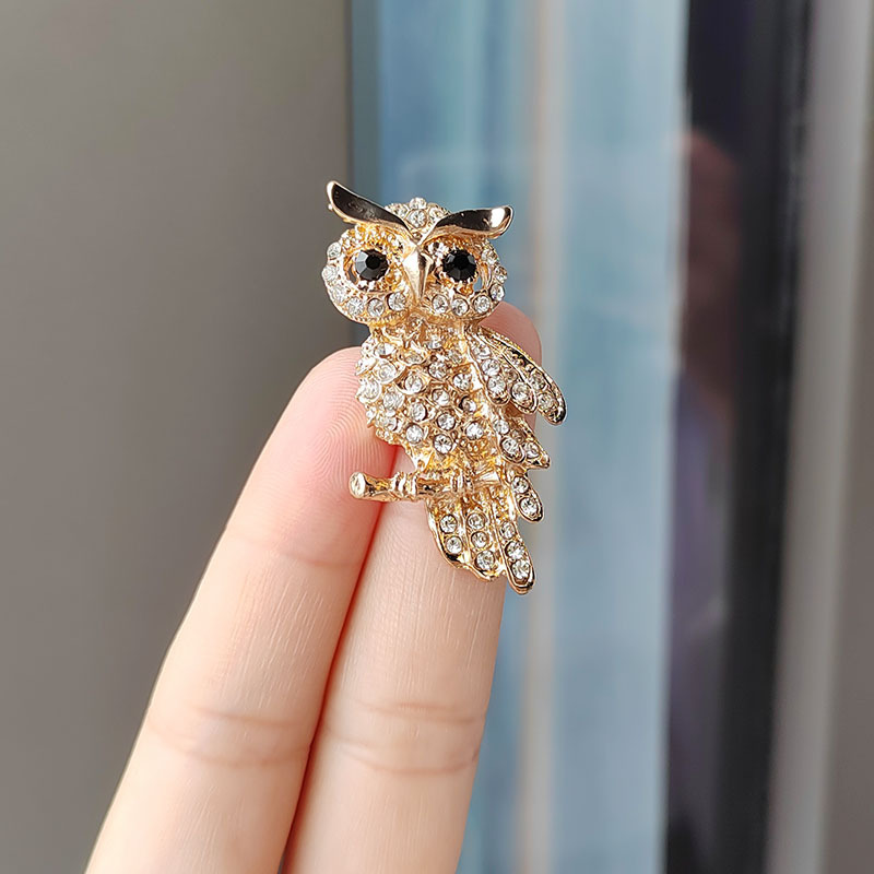 IMG_20230522_093820 拷贝