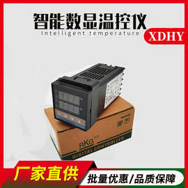 RKC REX-C100智能温控器  高精度数字温控仪数显电子  温度控制器