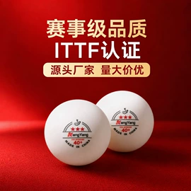 乒乓球;乒乓球台