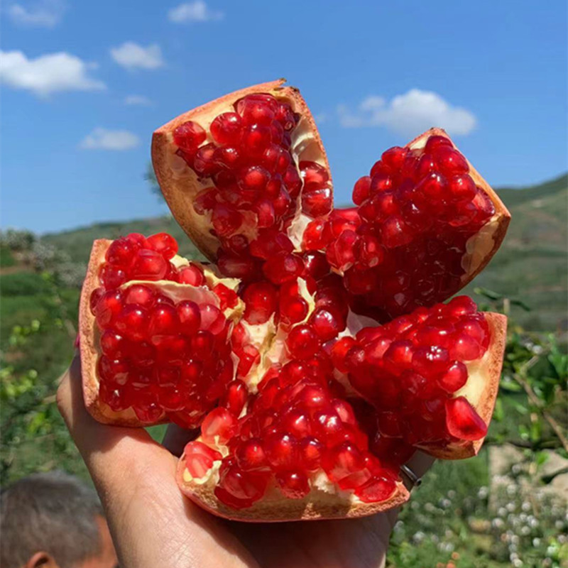 ee9415fe38e0844007fbac57c46c3a