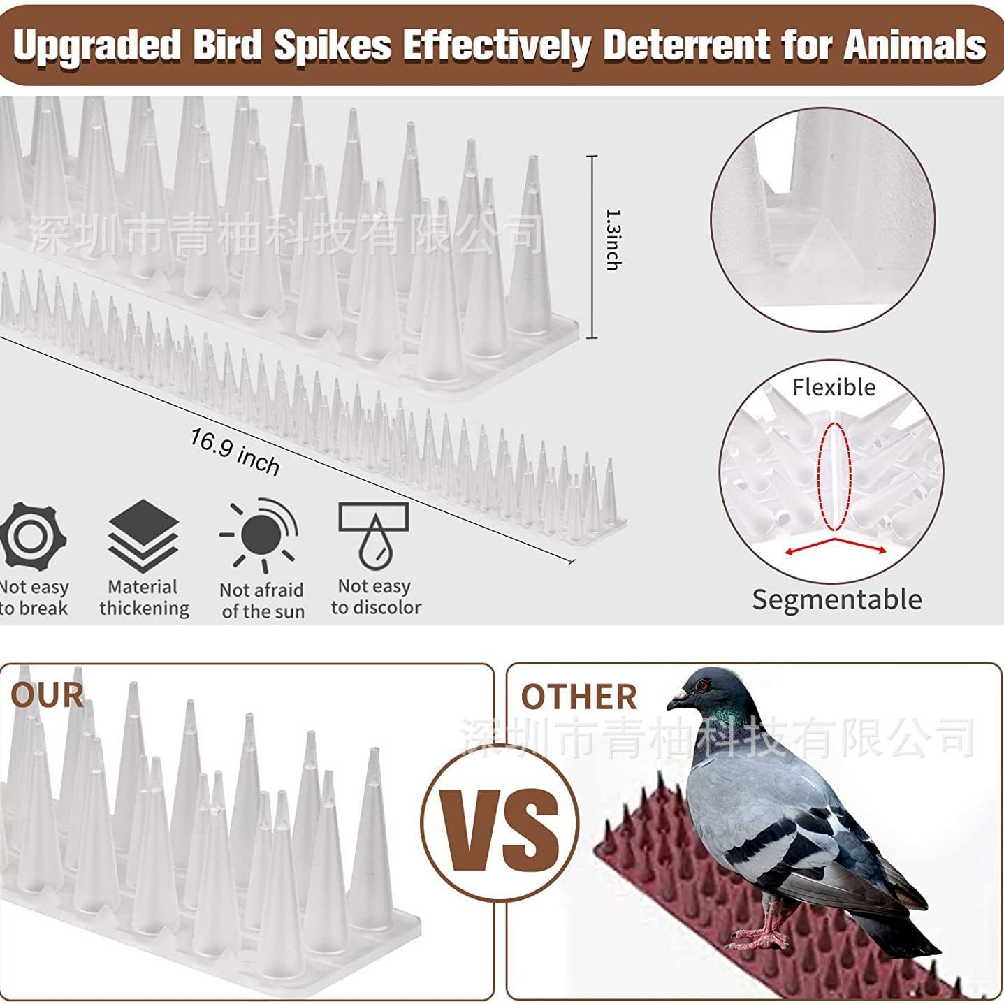 2024-11-06 11:51:22.jpg