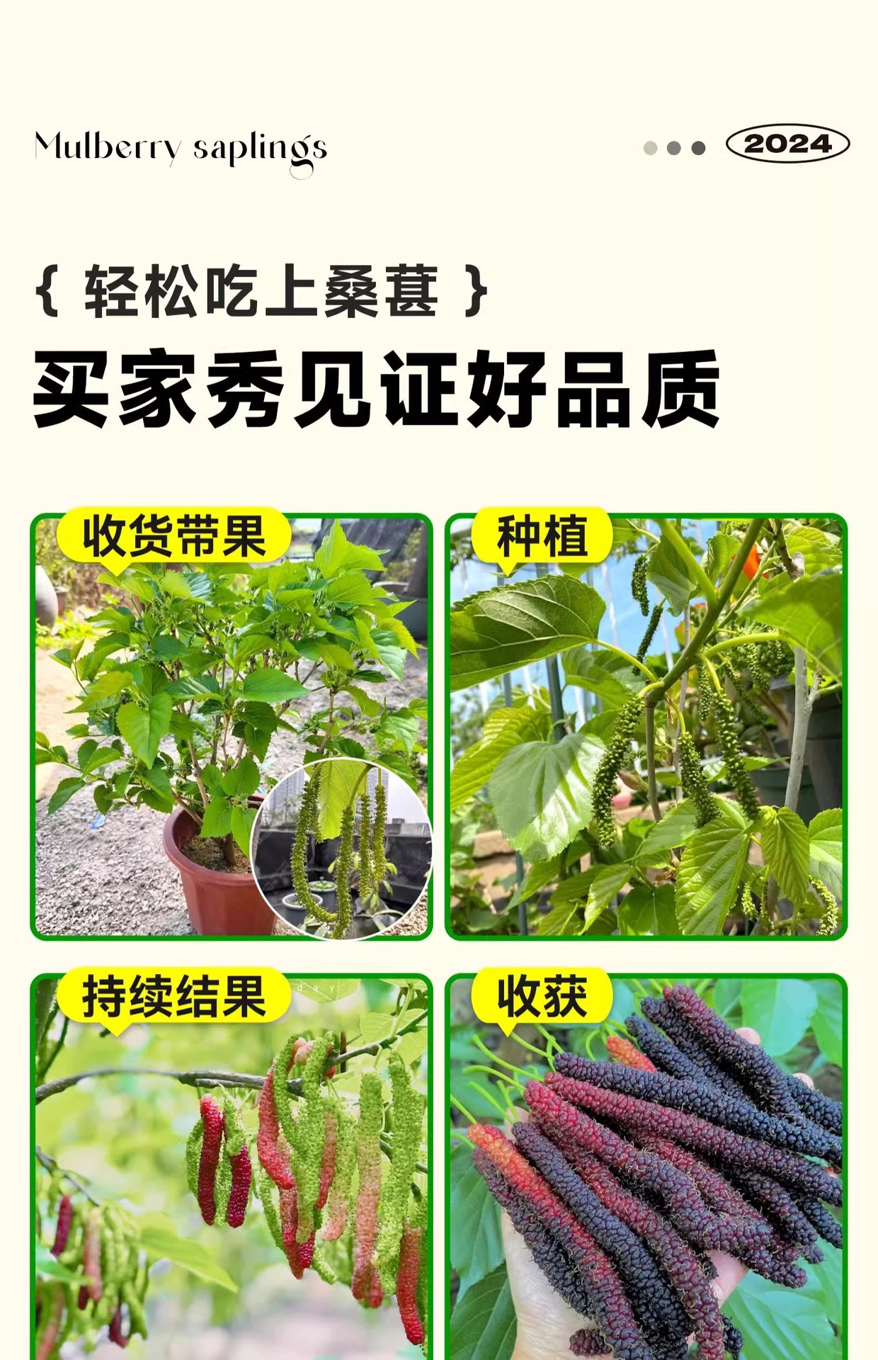 O1CN01FGBcTI1KQs67GEf9f_!!2219532571159-0-cib.jpg?sign=583921_Mzg0OTAxODQ5