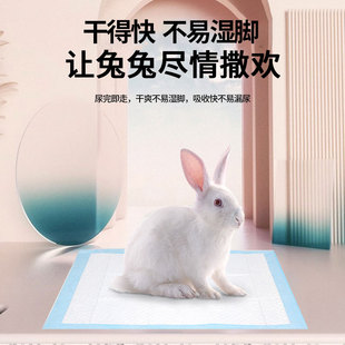 Rabbit Urine Pad Pet Rabbit Universal Diaper Diaper Rabbit Cage Urine Pad Disposable Rabbit Supplies Diaper