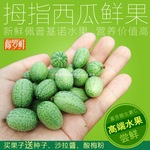 水果拇指绿瓤西瓜小果子基诺新鲜迷你现摘西瓜网红佩普无
