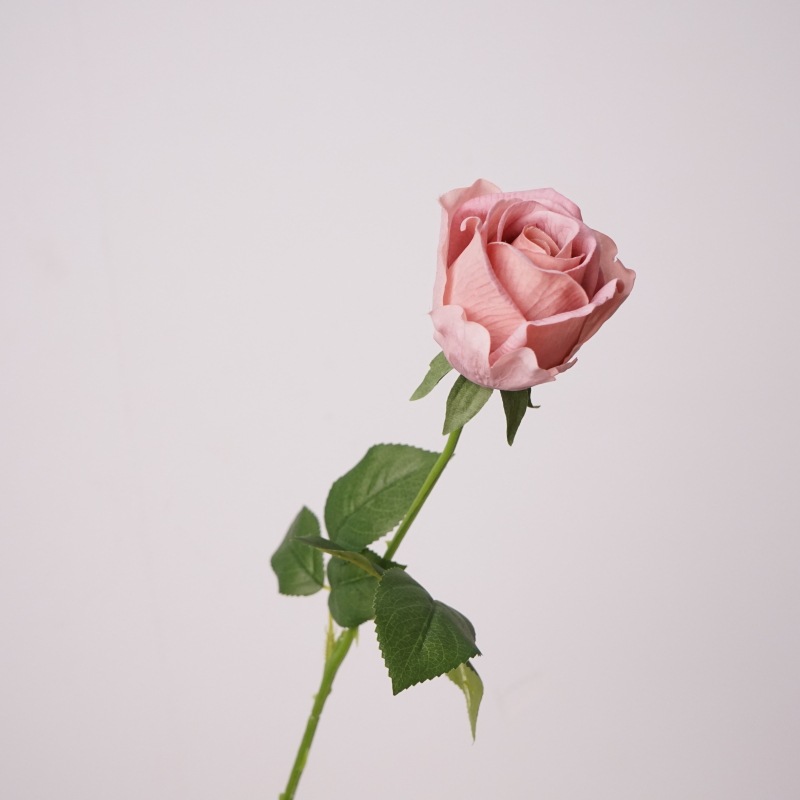 촉촉한 보습 파우더 - 브라운 레드