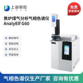 荆和 焦炉煤气分析气相色谱仪生产方案实验室精密仪器燃气分析仪