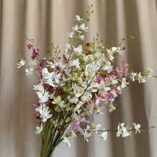 ��������m�f���m�ҾӲ廨�zӰ�Y���������滨���߿͏d�����[���m