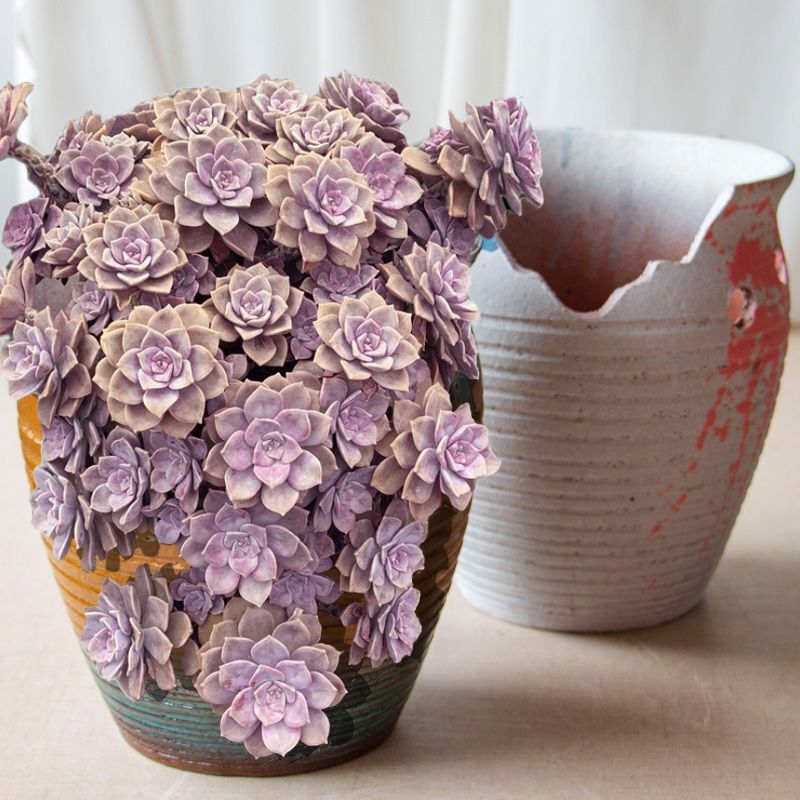 High-Cut Design with Notched Cliff Succulent Flower Pot, Coarse Pottery Ceramic Plant, Extra-Large Ceramic Pot for Small Old Stump