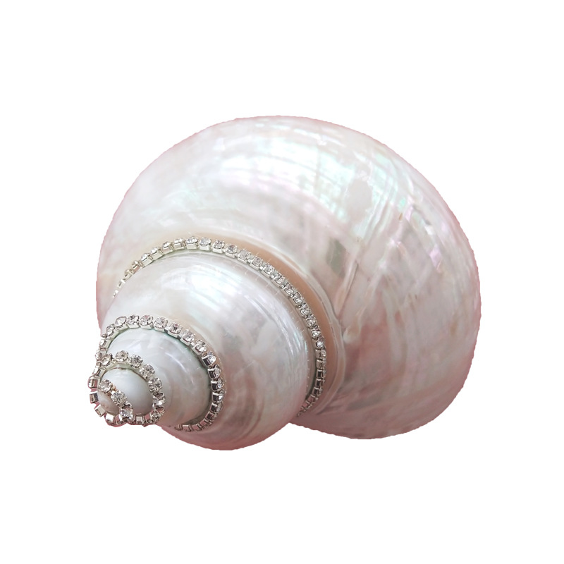 흰색 빛나는 달팽이