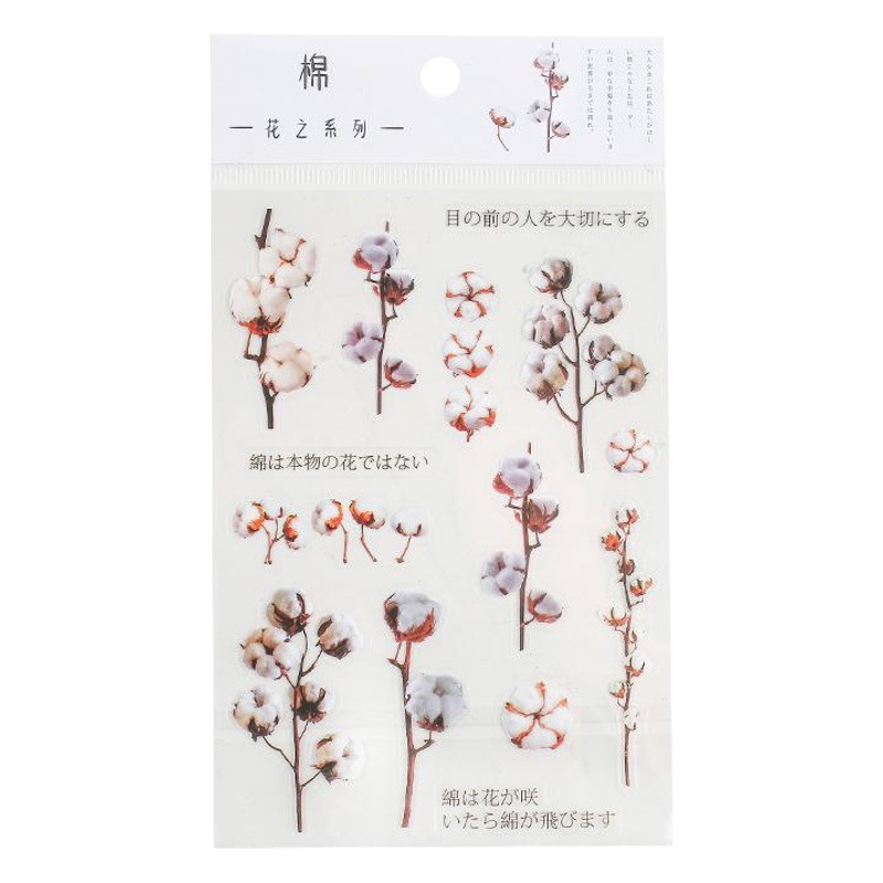 Mr. Paper PET pegatinas serie de flores 2 diario de plantas frescas DIY pegatinas de material decorativo de forma especial 6