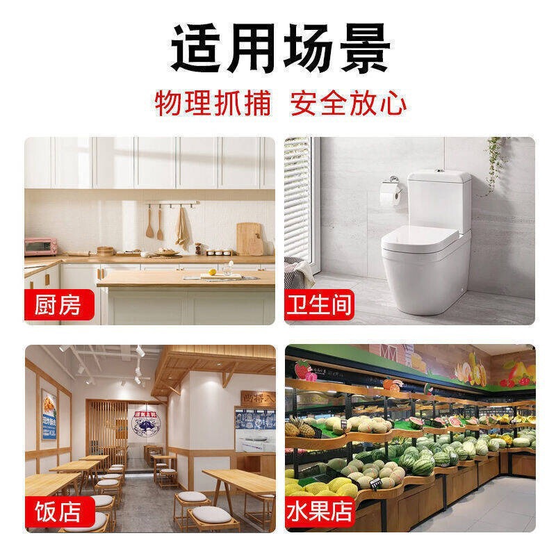 屋内粘着性飛翔昆虫ボール、ハエ、蚊、果物屋のキッチンゴミ箱、殺虫加工品、飛翔昆虫粘着ボード|undefined