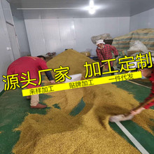 �𻨸� �𻨲��� �o��� �V�����ֹ𻨸� ���� �ӹ���������