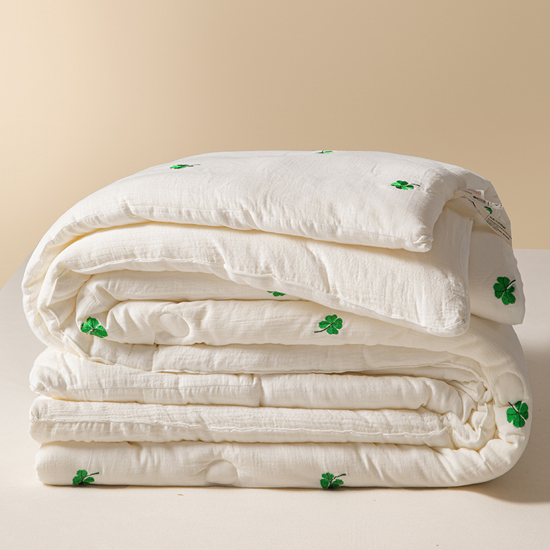 Colcha de soja de hilo de doble capa de invierno, colcha de invierno, colcha gruesa y cálida, núcleo, dormitorio individual, colcha de primavera y otoño
