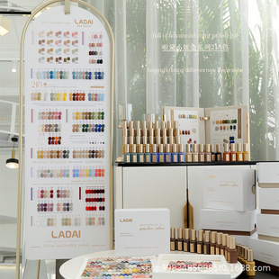 �����z2023��W�����¿�����С����⯟�����z���S���l�����z���b