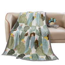 �t�� �q̺ HDT-2222