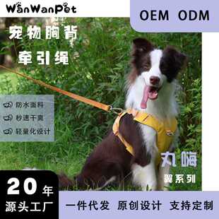 WanWan Pet&ldquo;��&rdquo;����ϵ�й������K�޹��K