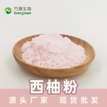 西柚粉80-100目 水溶性红西柚粉 西柚果粉 现货 SC厂家