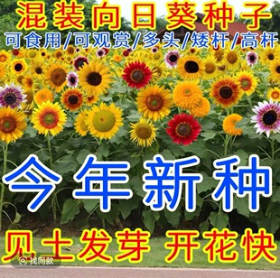 ���տ��N�ݻ��N���Ӱ��ļ����N�_���ߗU�^�p����ͥԺʳ�ÿ����N��