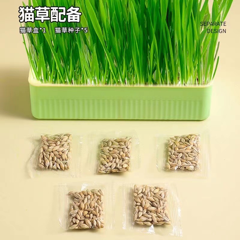 hierba de gato hidropónica enlatada de pelo, pelo globulado para promover la digestión, menta para gatos cultivados, mascotas, bocadillos para gatos, artículos para mascotas