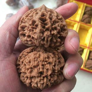 ������������ְ���������Ǳ�������y��ñ���¹�ñ���֌�