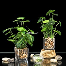 ���l���޿͏d�f����پGֲ�b�С�[���б��滨������