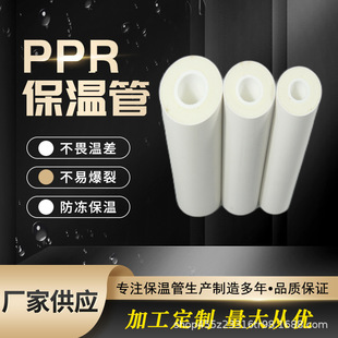 �՚���̫�����λһ�w���عܵ� PRC�l�ݱ��ع� �Ӻ����PPR���ع�