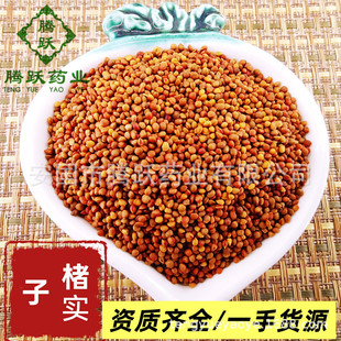 ������ ���l��������ș�� ������ ������ ���� �ǘ��� ����ă�