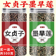 女贞子和旱莲草材养发乌发组合旱莲草泡水茶的功效与作用