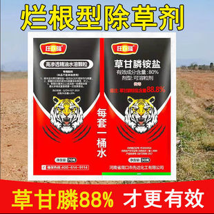 �ݸ�좳��ݠ��������݄����������Ͳݸ���@�}�rș�ĵ؜����Գ���