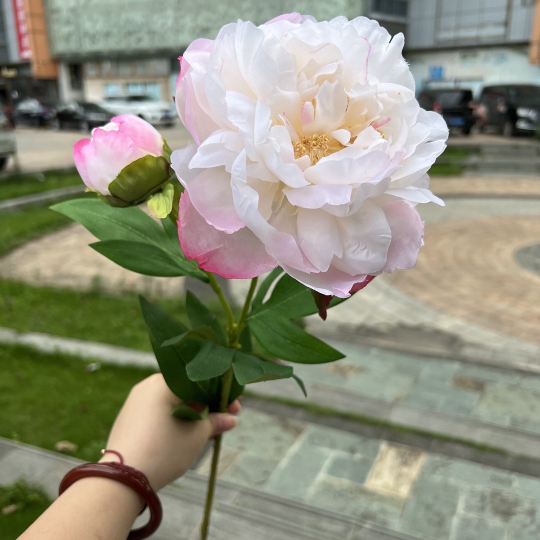 Simulación del Día de San Valentín rosa fabricante 3 sola rama multi-cabeza rosa decoración de la boda flor falsa al por mayor
