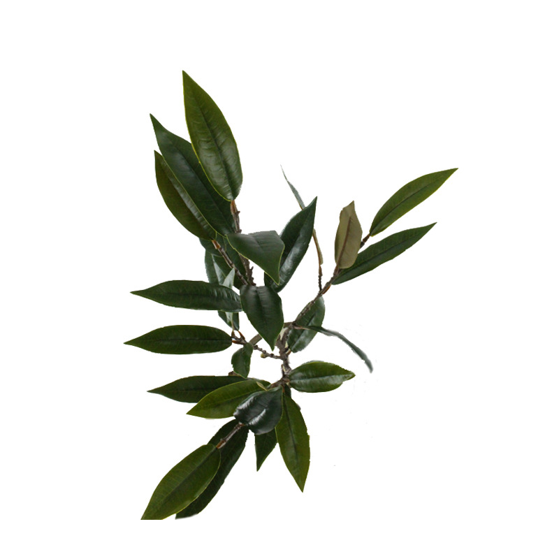 XRB-221 栲树叶6叉立体枝0 (3).jpg