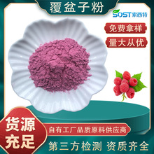 覆盆子果粉 覆盆子粉 覆盆子提取物 树莓果粉 源头厂家可寄样