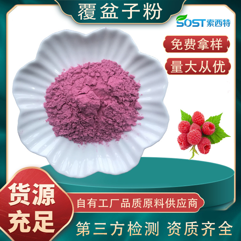 覆盆子果粉 覆盆子粉 覆盆子提取物 树莓果粉 源头厂家可寄样