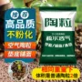 通用型养花花卉园艺土
