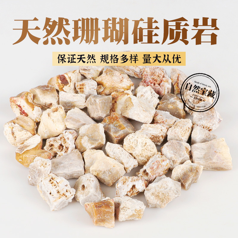 天然岩石标本珊瑚硅质岩沉积岩水晶原石地质科普矿石石头原石摆件