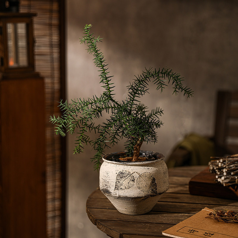 Jingdezhen Ceramic Luogen Flower Pot, Vintage Handmade Clay Breathable Pot, High-End Zen-Style Flower Pot for Living Room Tabletop Jingdezhen Ceramic Luogen Flower Pot, Vintage Handmade Clay Breathable Pot, High-End Zen-Style Flower Pot for Living Room Tabletop