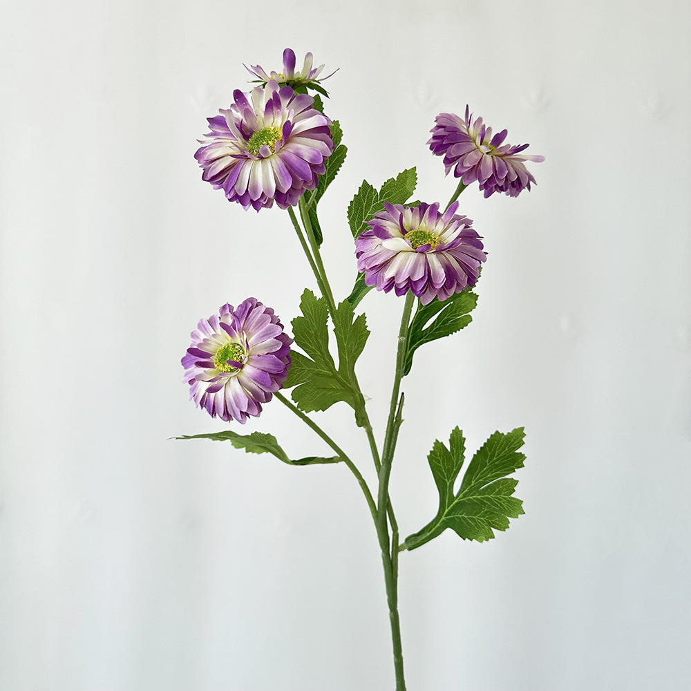 하얀 마음 보라색