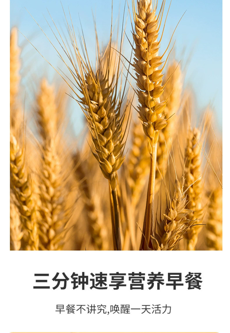 Selenium Rich Wheat Germ Oatmeal Instant Breakfast Cereal 500g No Added Sugar quality and texture