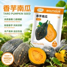粉糯香芋南瓜种子粉糯香甜芋香味浓农家菜园播种早熟南瓜蔬菜种籽