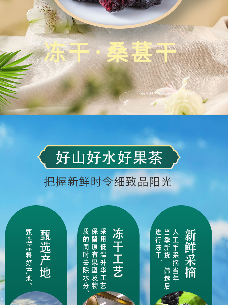 Freeze Dried Mulberry Fruit Dried Sang Shen Mulberry Tea and Wine Making 75g Jar quality and texture