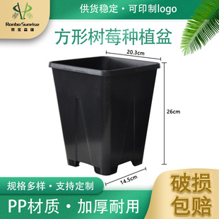 �S�����l�̨pp����2�Ӂ���͸��������Ϸ��λ�������{ݮ�Nֲ��