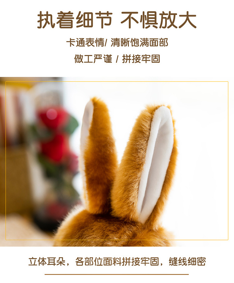 仿真兔子_11.jpg