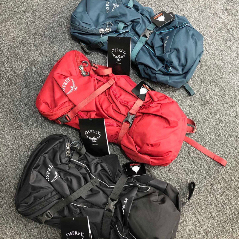 Eagle Beetle Mochila de montaña 22L30L34L mochila de camping caminata mochila de gran capacidad