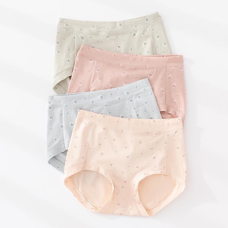 60-Count Cotton Women's Briefs, Antibacterial 100% Cotton Crotch, Mid-Waist Tummy Control, Plus Size for Curvy Women, Wholesale Dropshipping 60-Count Cotton Women's Briefs, Antibacterial 100% Cotton Crotch, Mid-Waist Tummy Control, Plus Size for Curvy Women, Wholesale Dropshipping